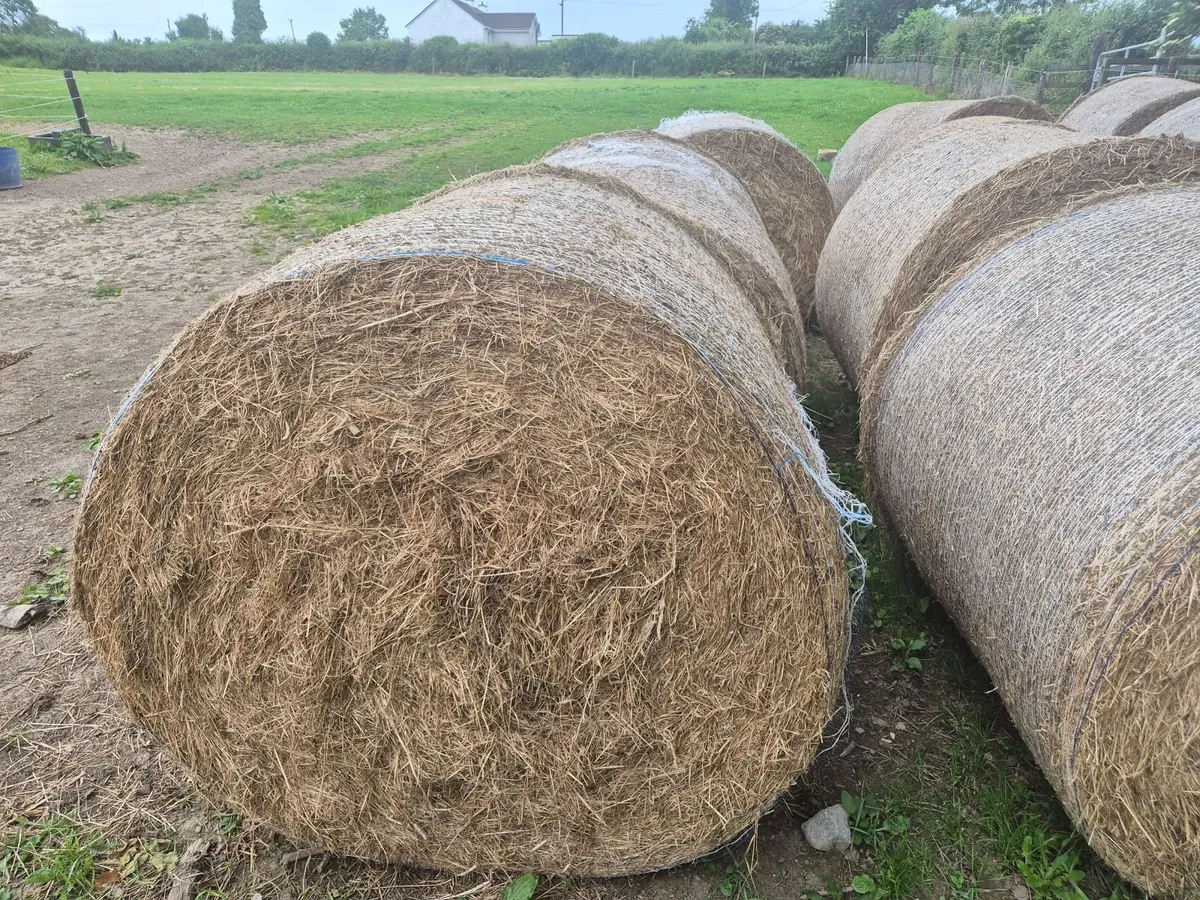 11 bales of hay - Image 2