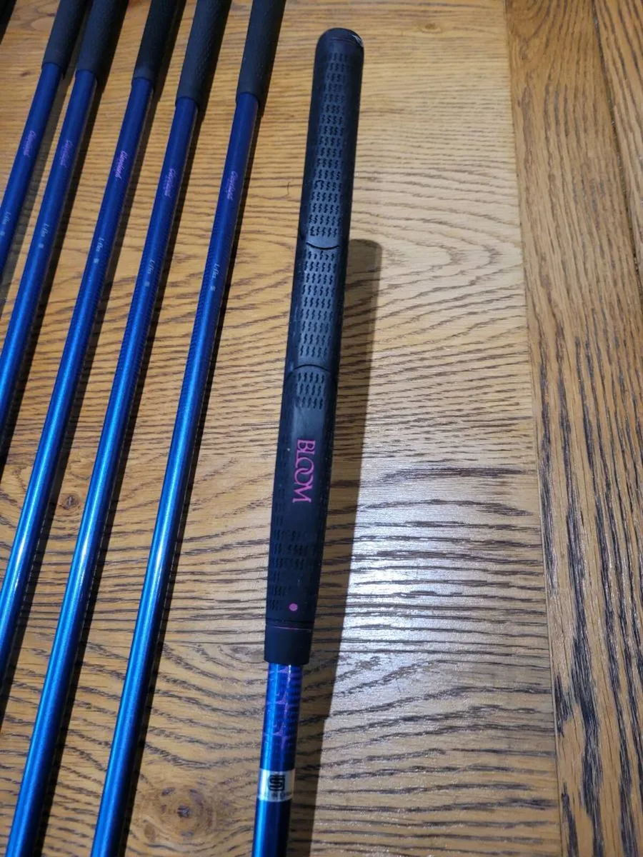 Ladies Golf Clubs - Image 3