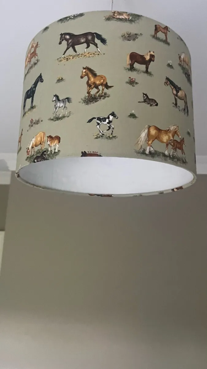 Light shade ponies - Image 3