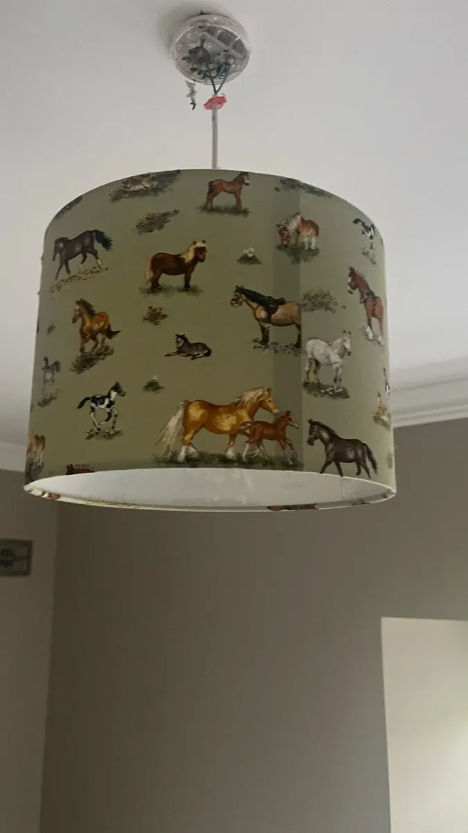 Light shade ponies - Image 2