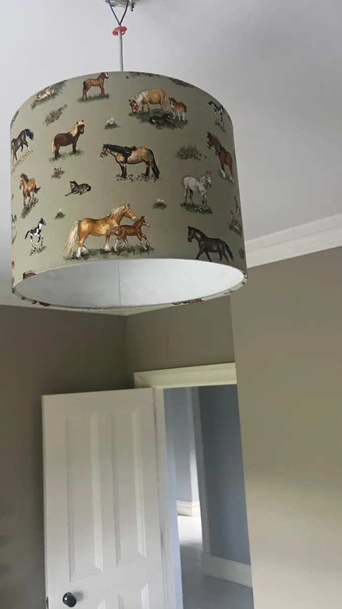 Light shade ponies - Image 1