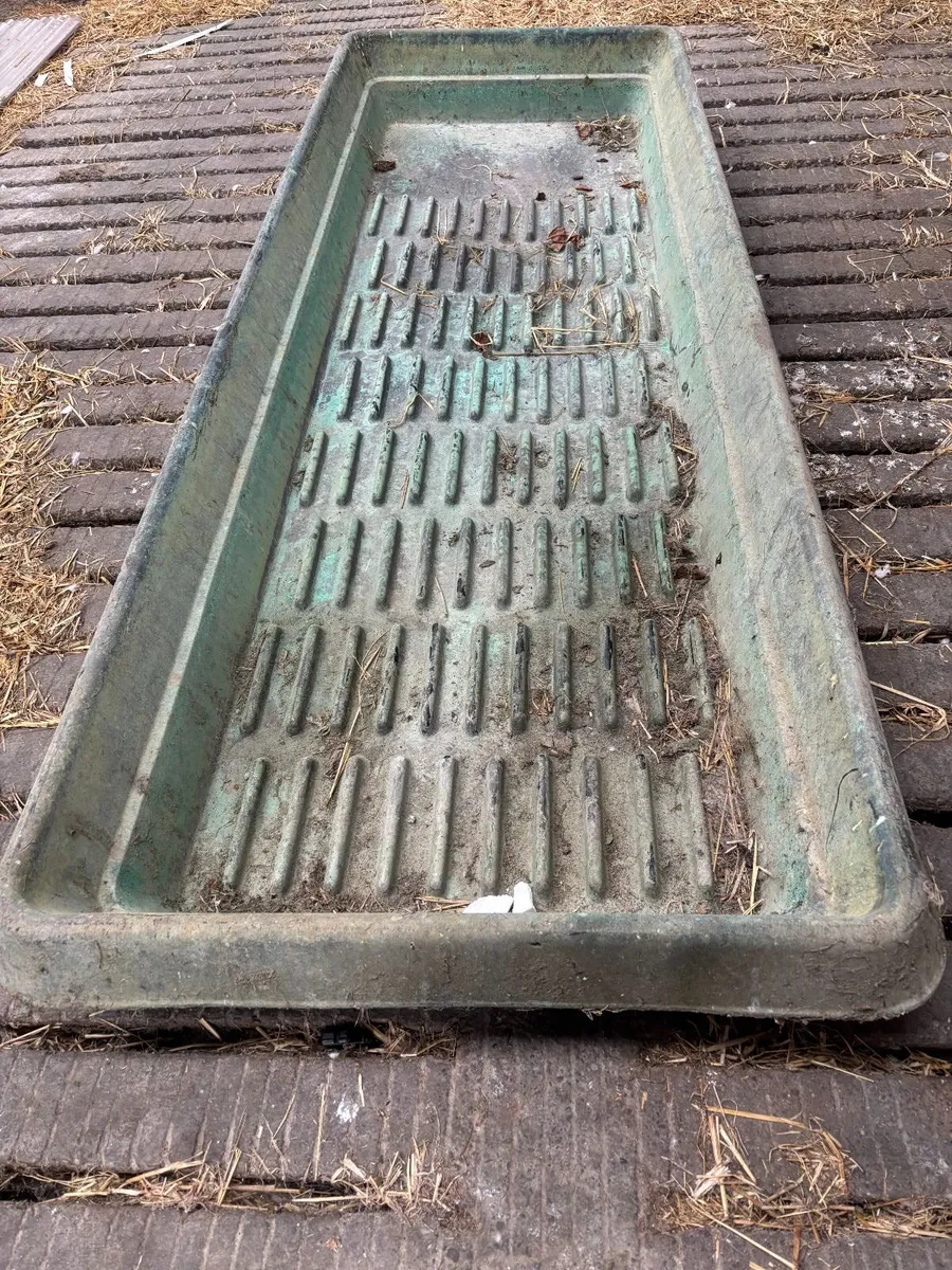 Footbath