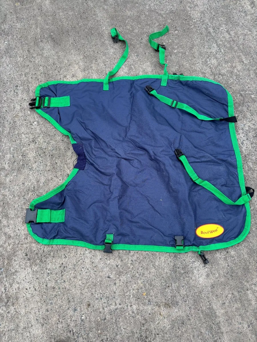 Calf coats - Image 1