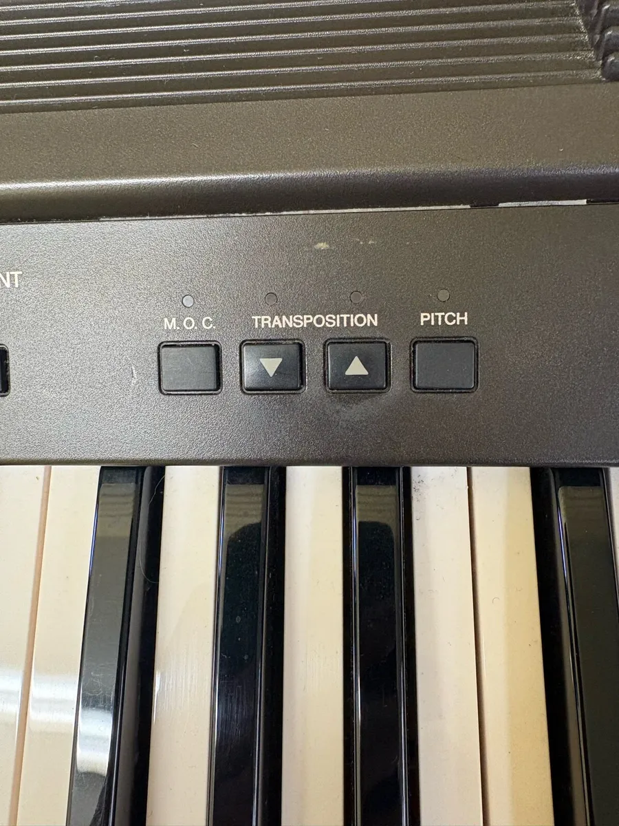 Electronic Organ - Image 3