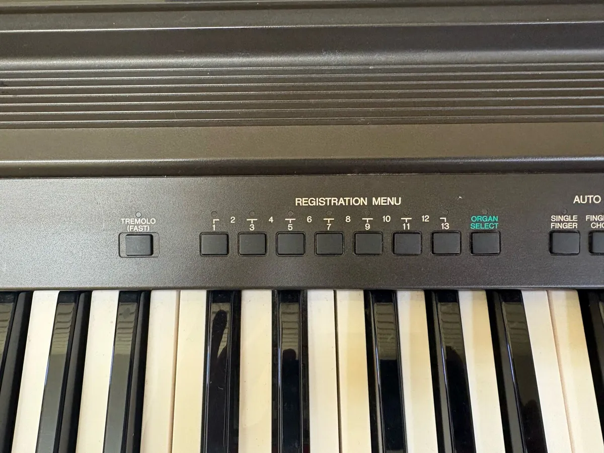 Electronic Organ - Image 4