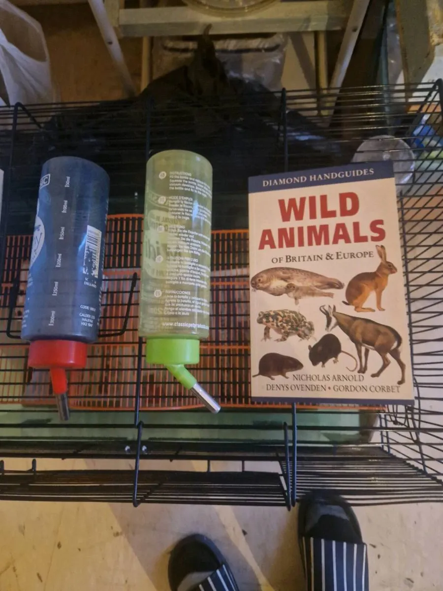 Hamster cage ginney  pig. cage ferrit rat cage . - Image 3