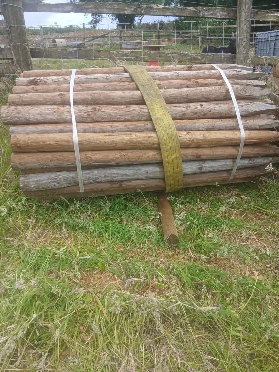 4ft round treated posts.....ideal electric fencing - Image 1