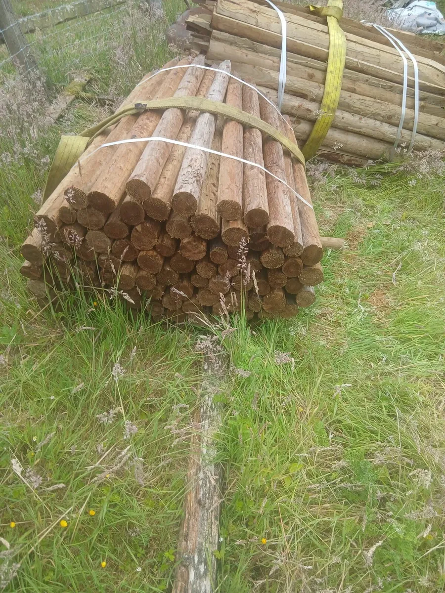 4ft round treated posts.....ideal electric fencing - Image 2