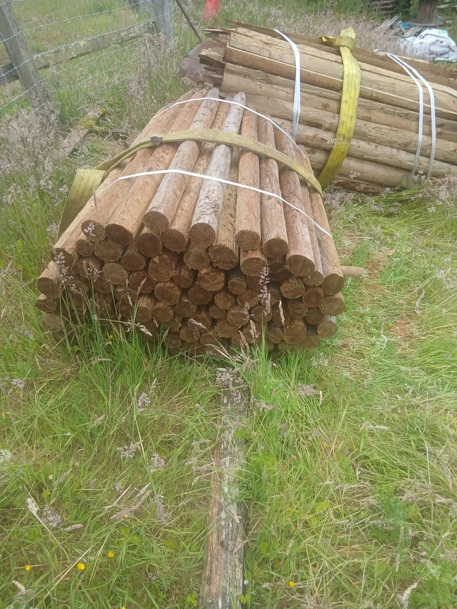 4ft round treated posts.....ideal electric fencing - Image 3