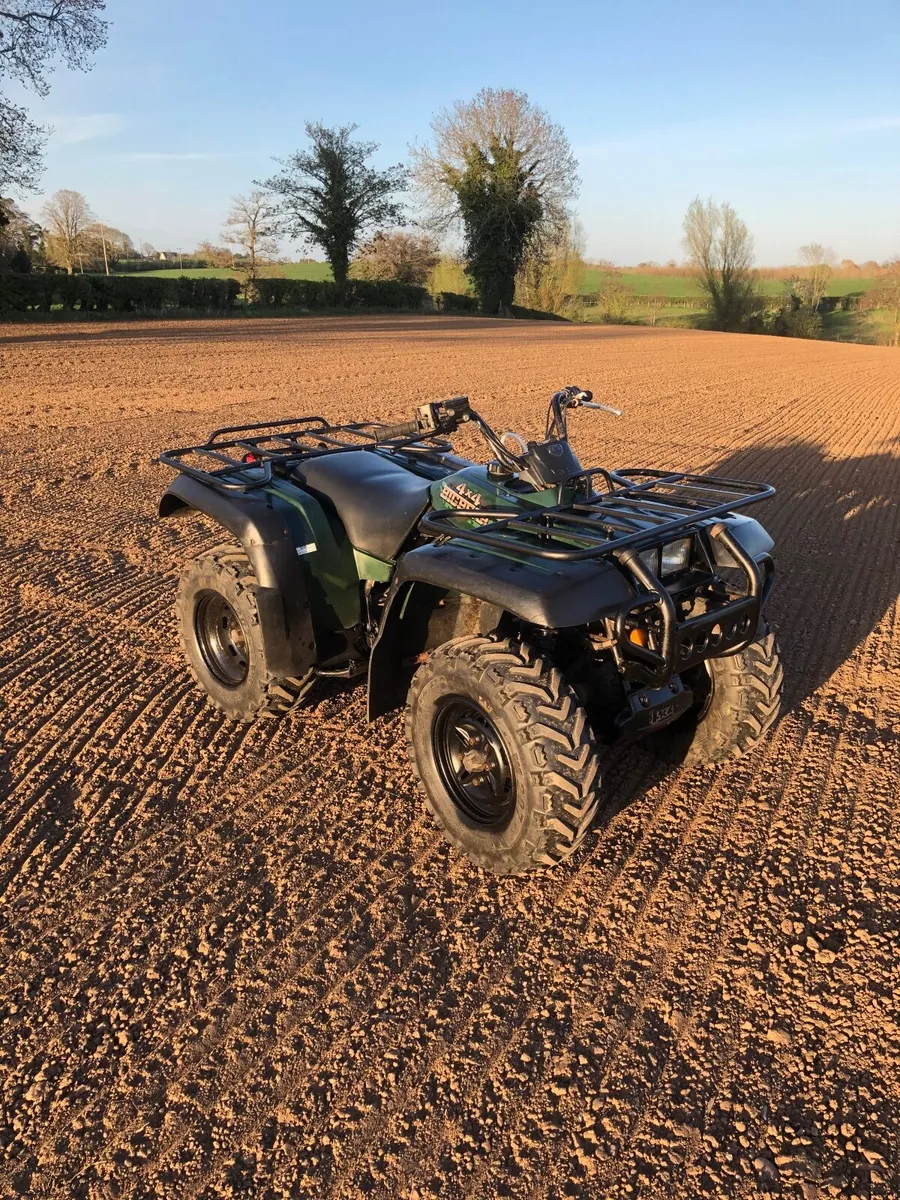 Quad - Big bear 350cc 4x4 - Image 3