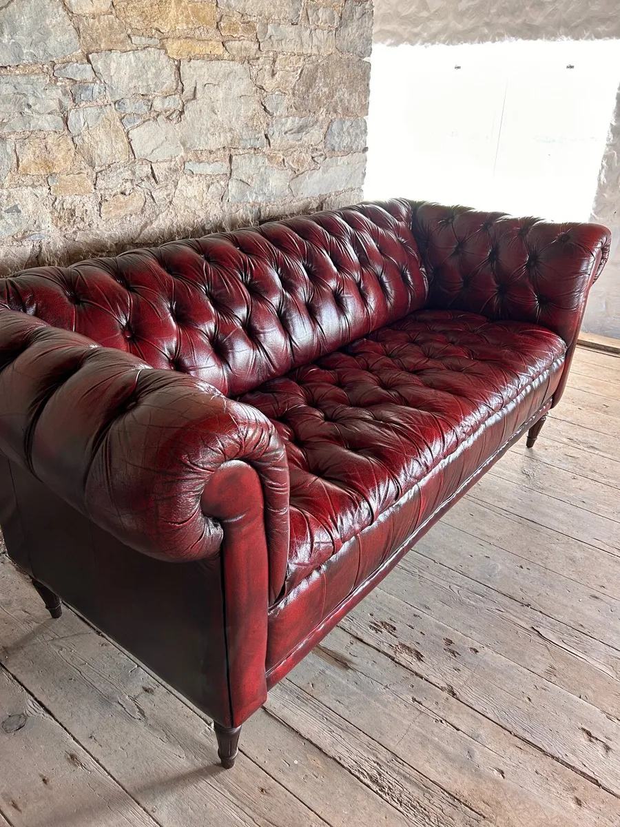 Chesterfield ox blood couch - Image 2