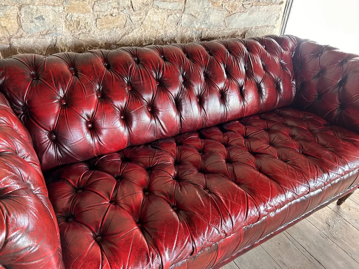 Chesterfield ox blood couch - Image 3
