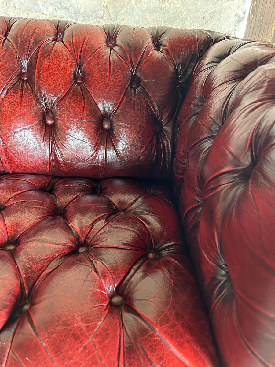 Chesterfield ox blood couch - Image 4
