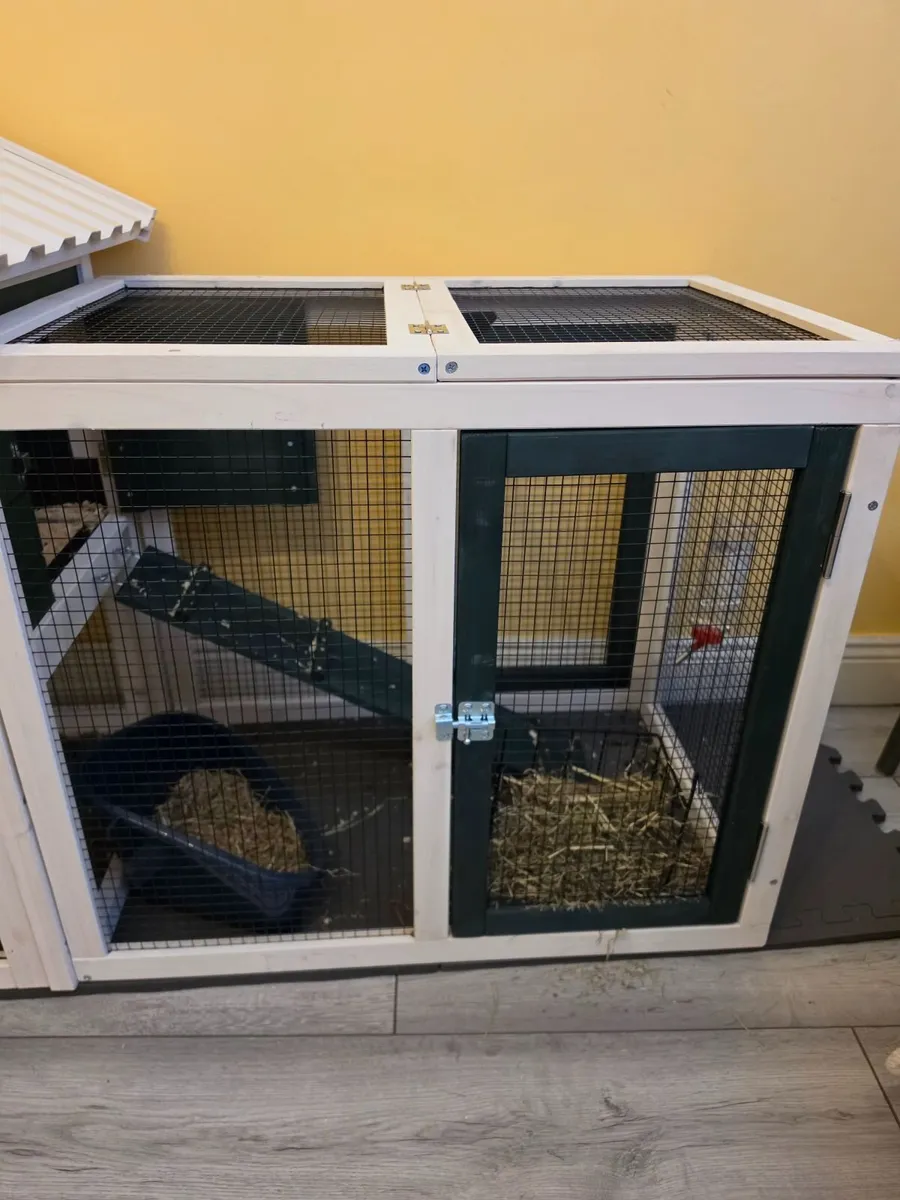 Rabbit Hutch - Image 4