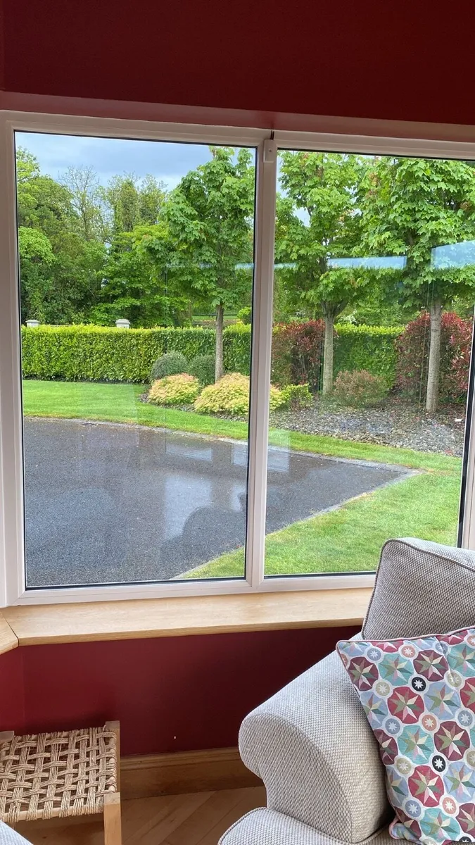 Sunroom windows and French patio door - Image 1