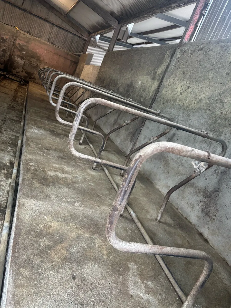 Mushroom cubicles - Image 1