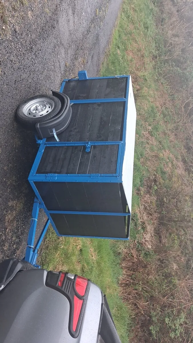 6x4 sheep calf trailer - Image 4