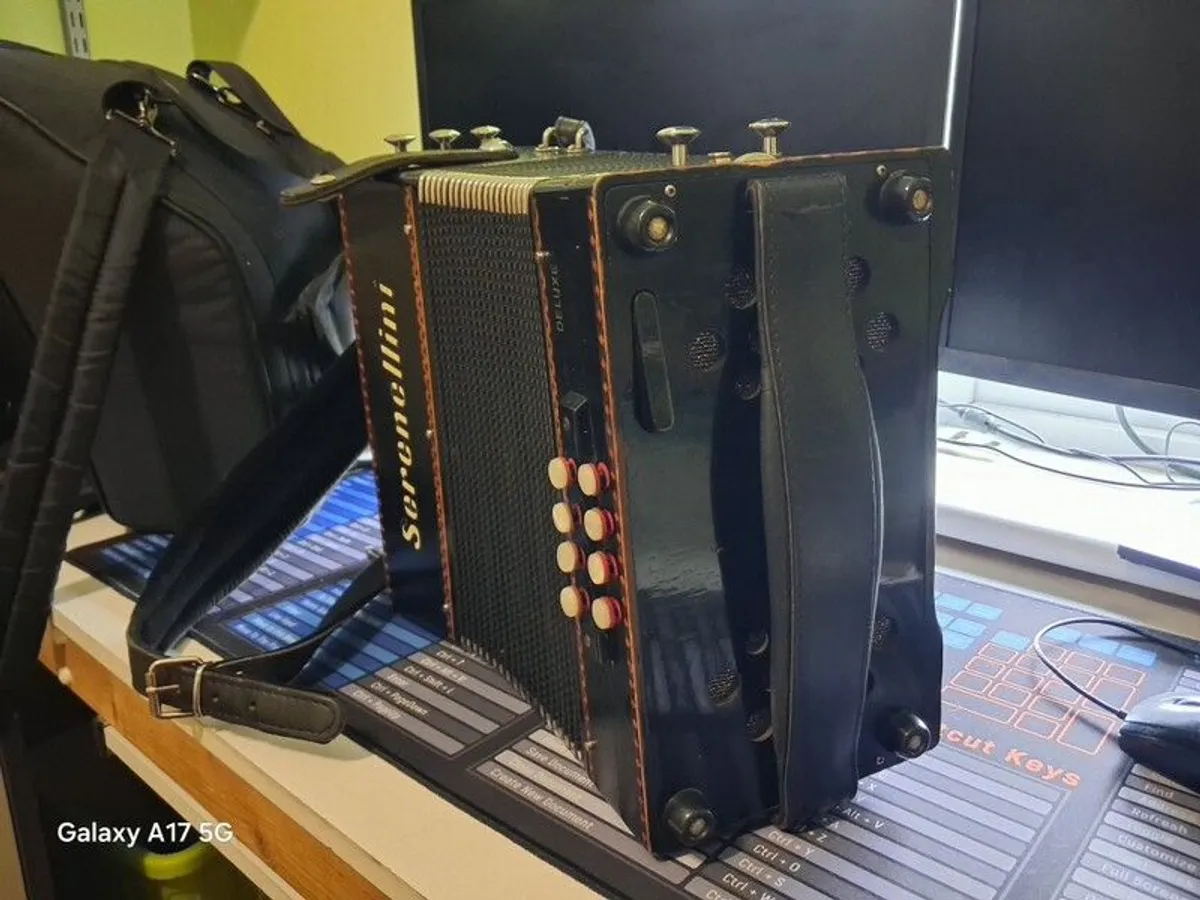 2 Accordions - Image 3