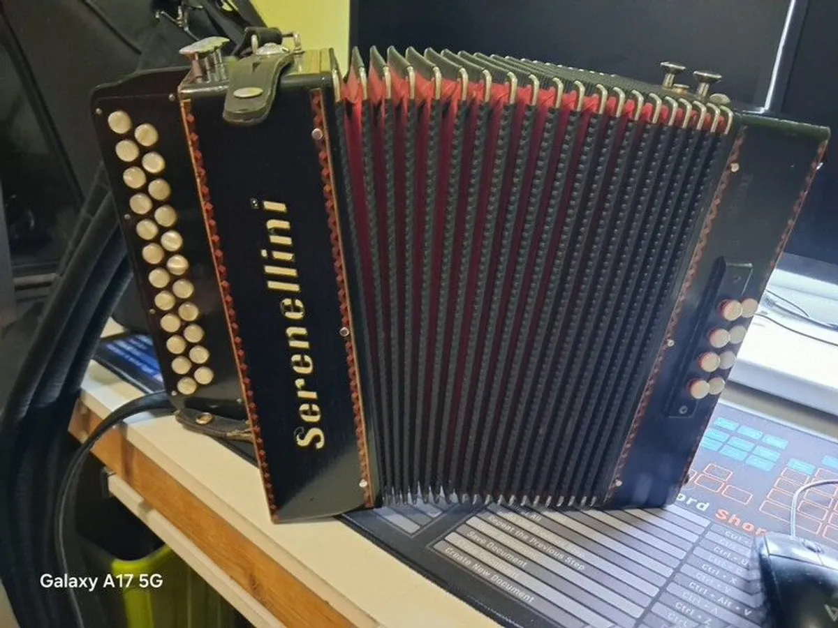 2 Accordions - Image 1