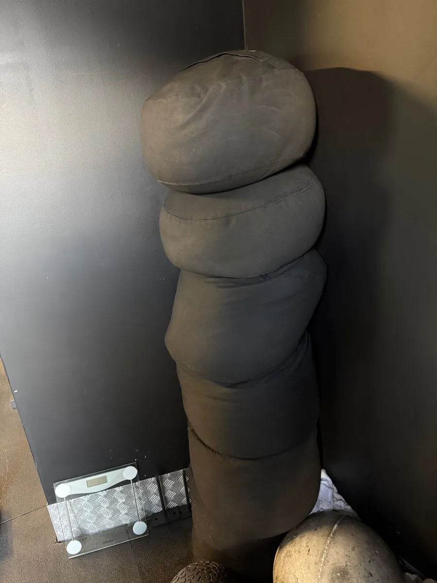 Gym Equipment Atlas Stones / Sandbags - Image 4