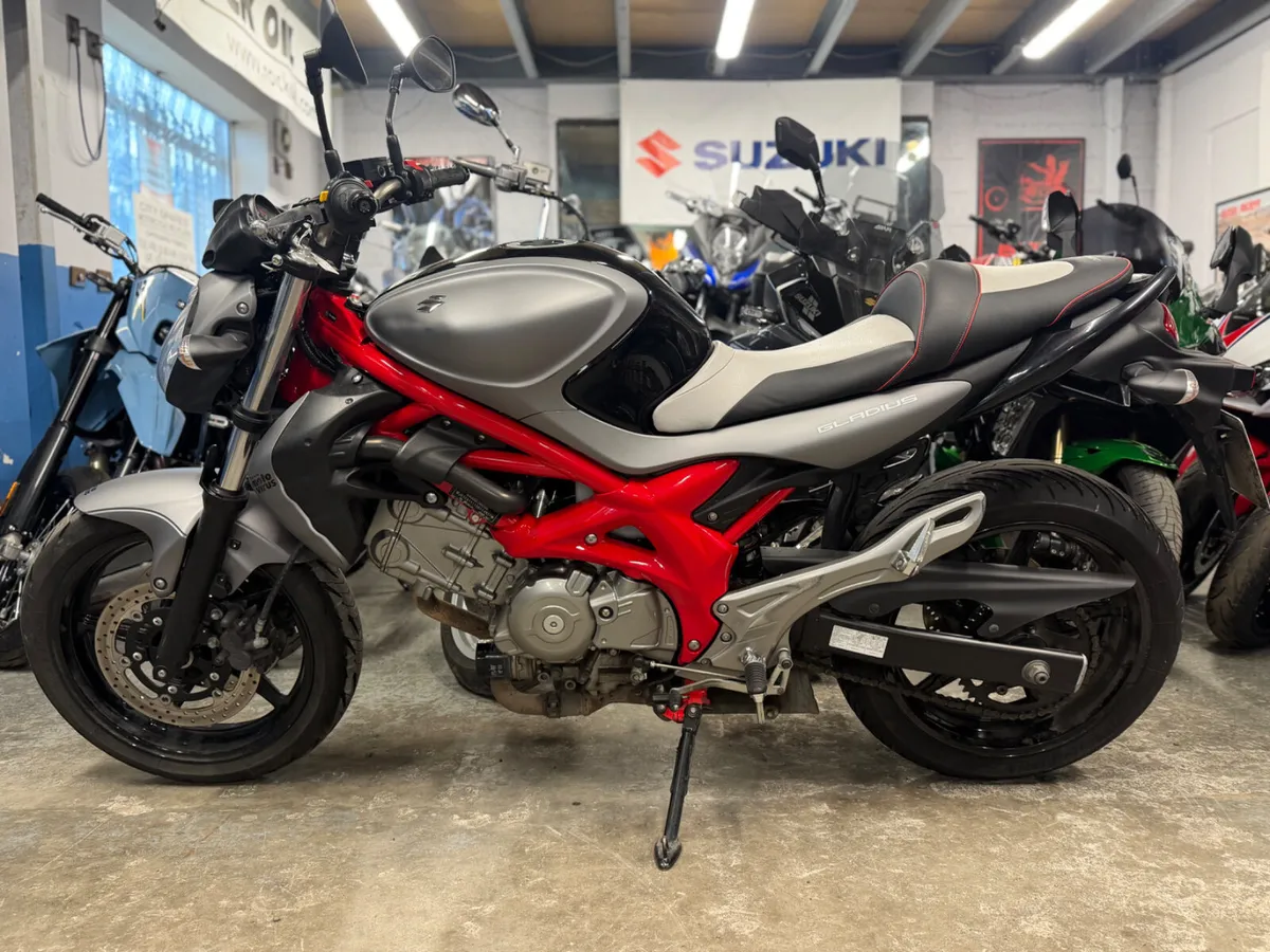 2016 SUZUKI GLADIUS 650 - Image 4
