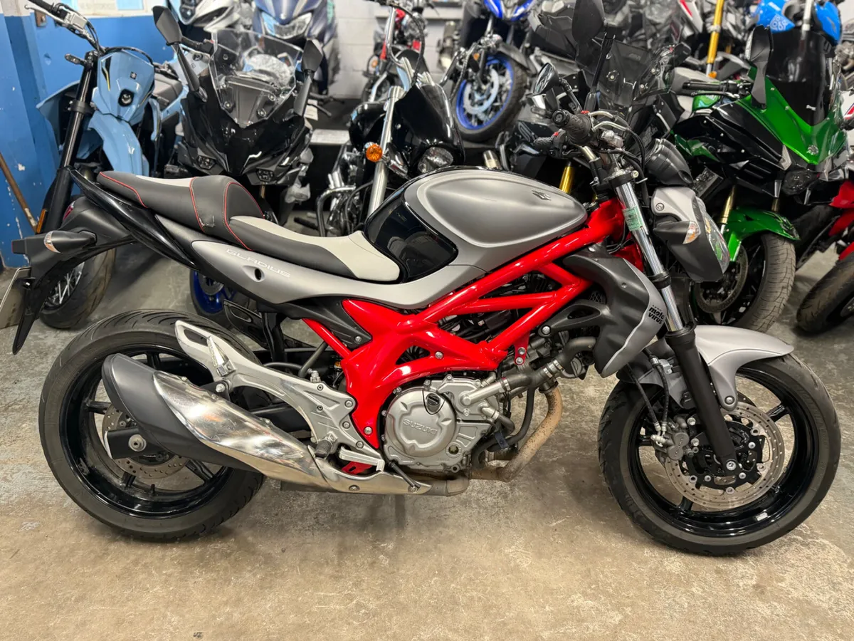 2016 SUZUKI GLADIUS 650 - Image 1