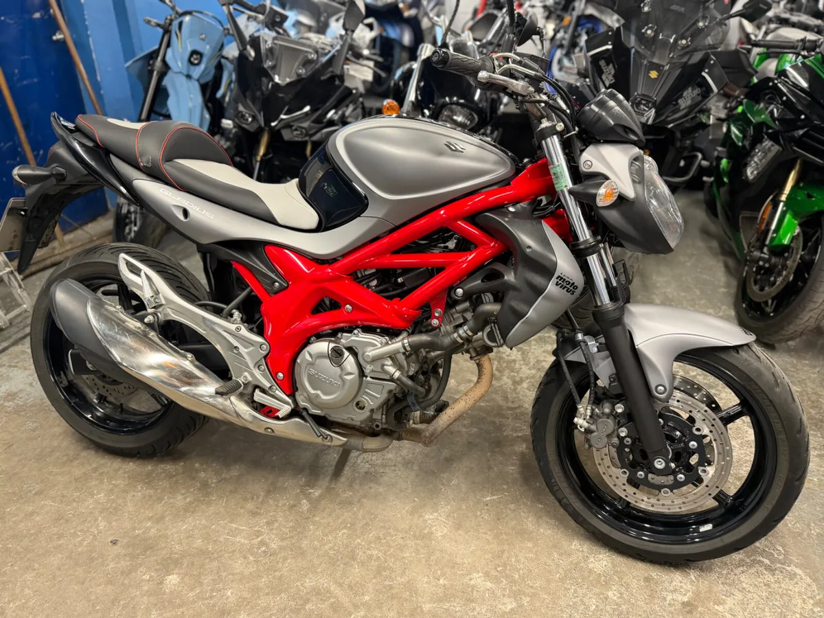 2016 SUZUKI GLADIUS 650 - Image 2