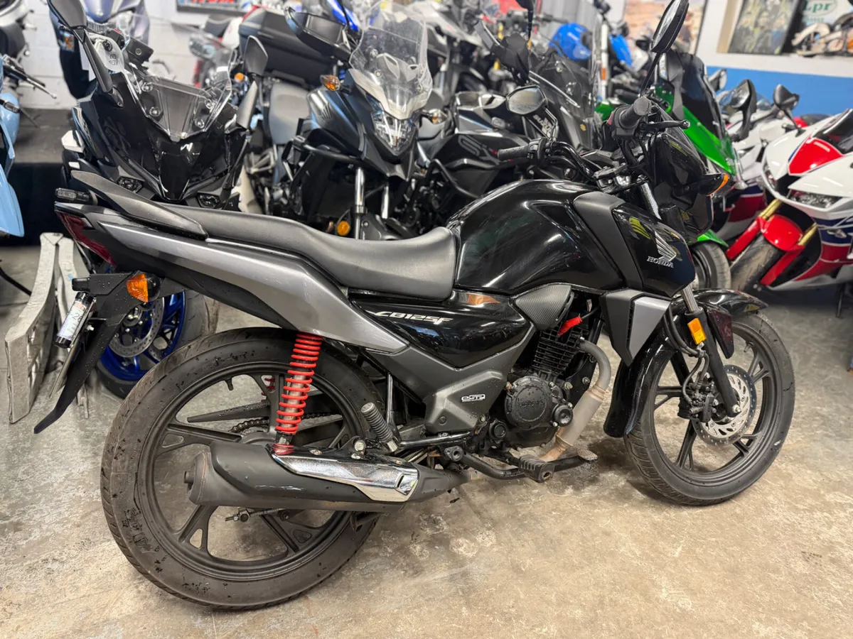 2024 HONDA CBF125 - Image 3