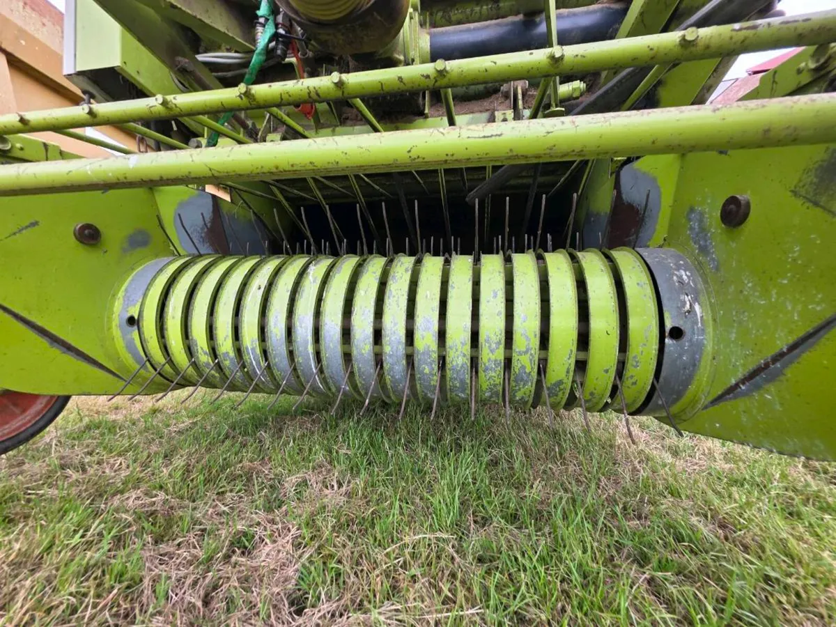 Clearance Auction for local Farmer - Image 2