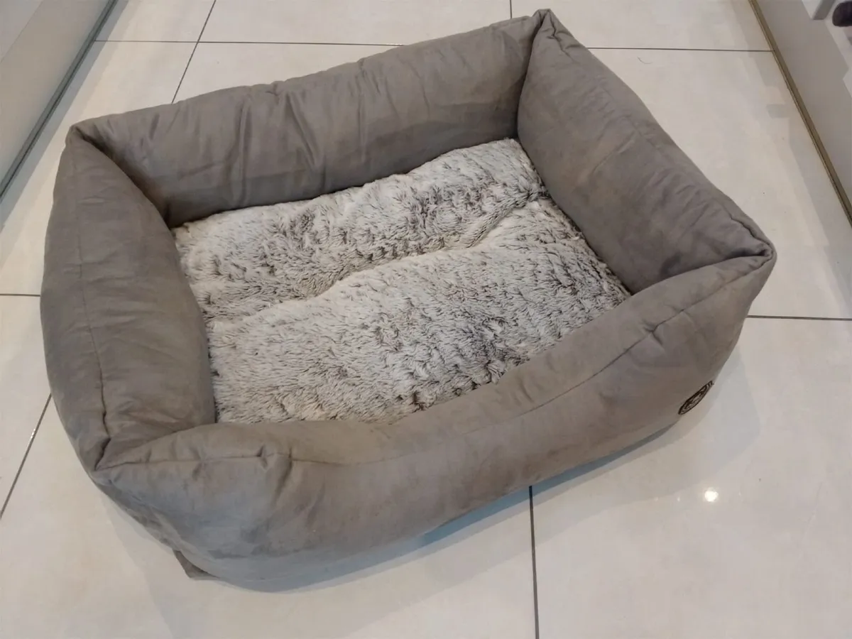 Dog Bed