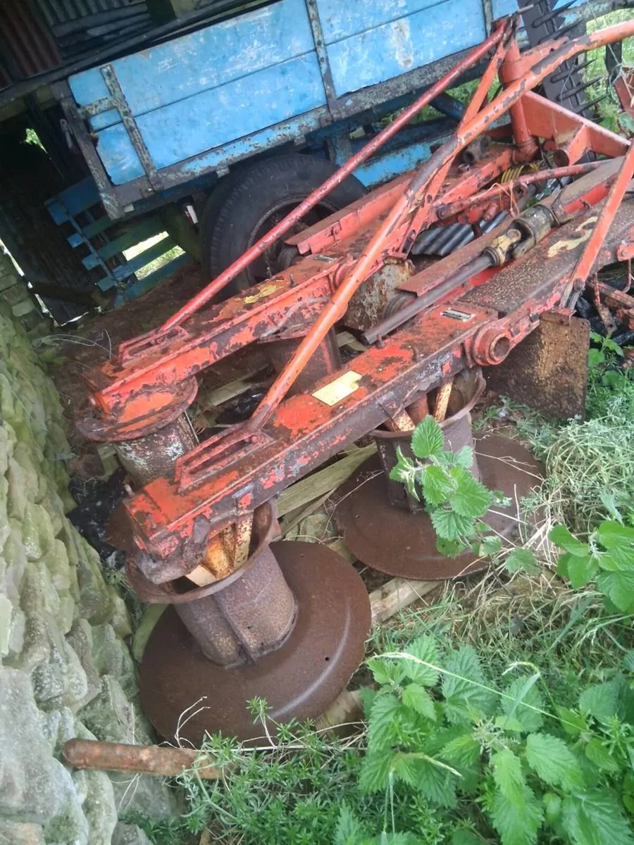Rotary mower - Image 1