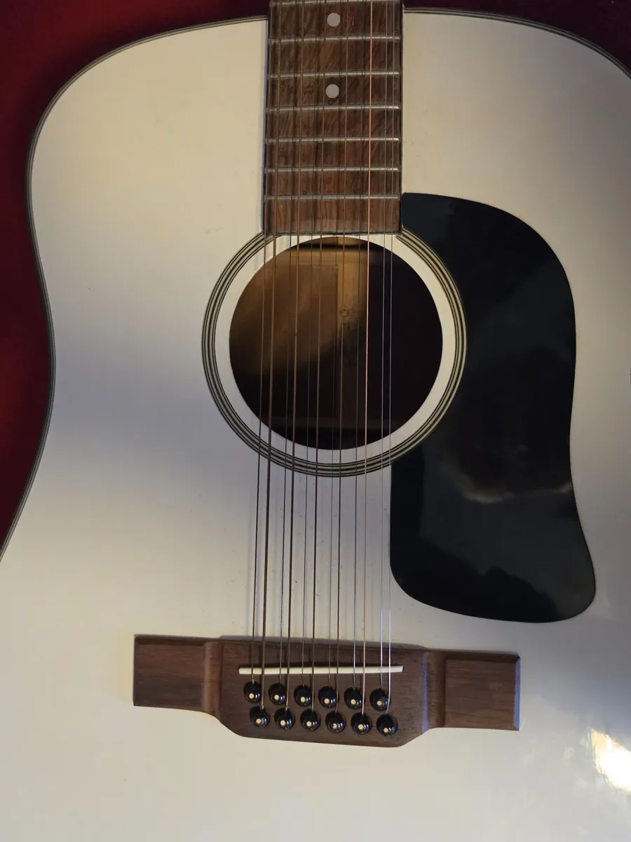 Washburn 12 string guitar - Image 1