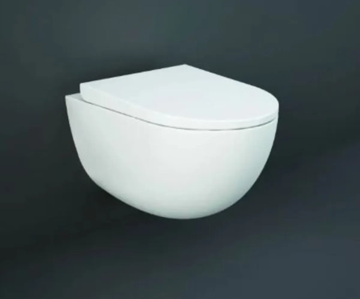 Wall Hung Toilet with Soft Close Lid - Image 1