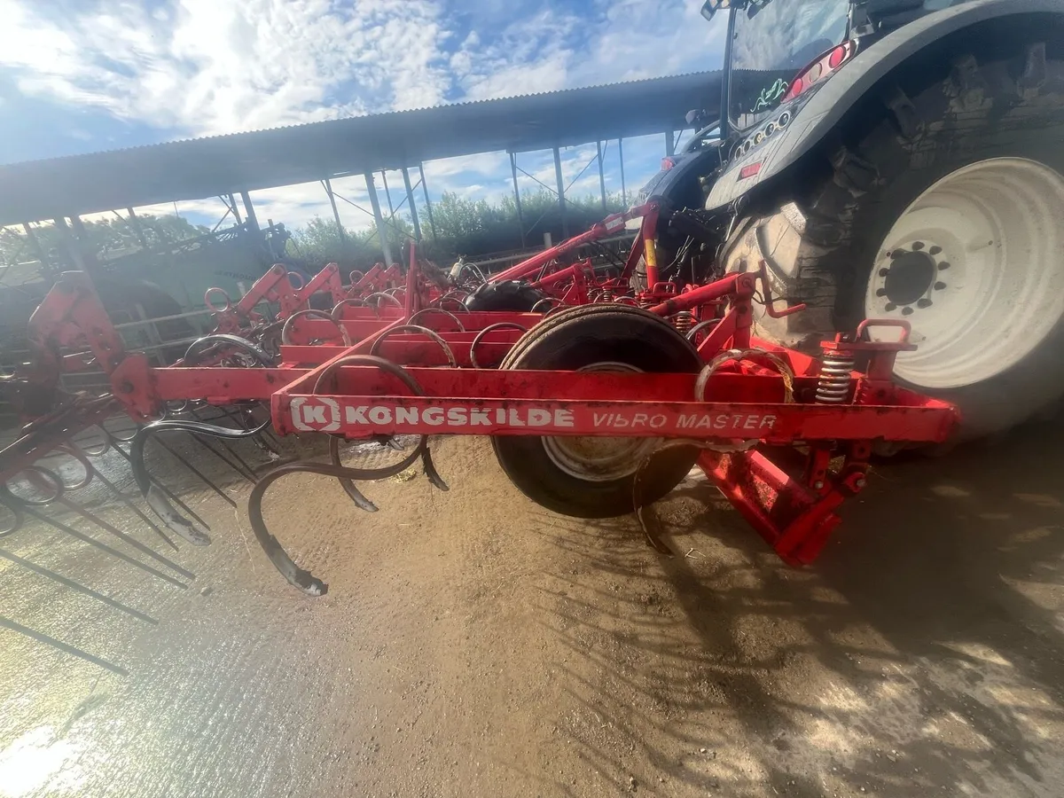 5 metre spring tine - Image 2
