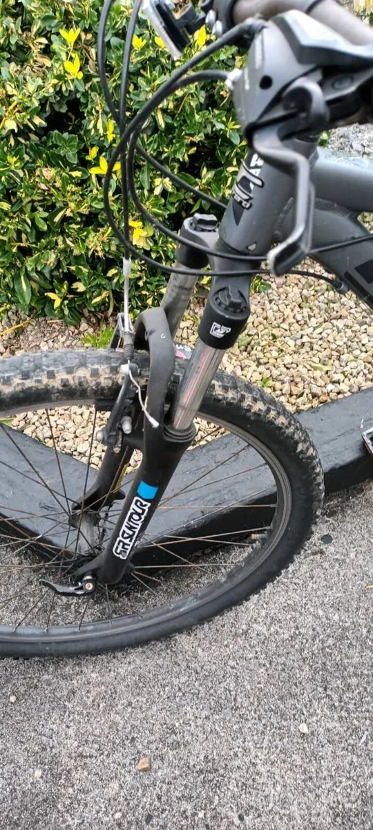 Carrera bike - Image 3