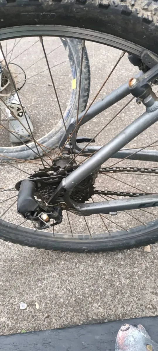 Carrera bike - Image 4