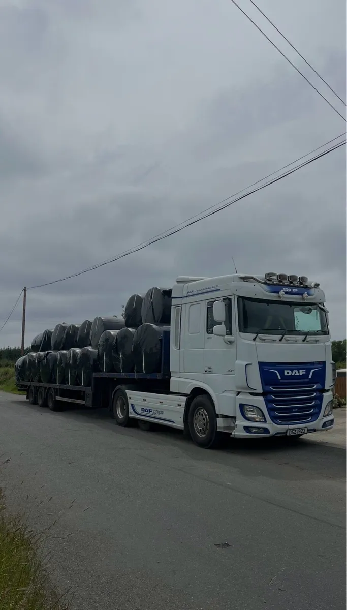 Round bales of good dry silage. - Image 1