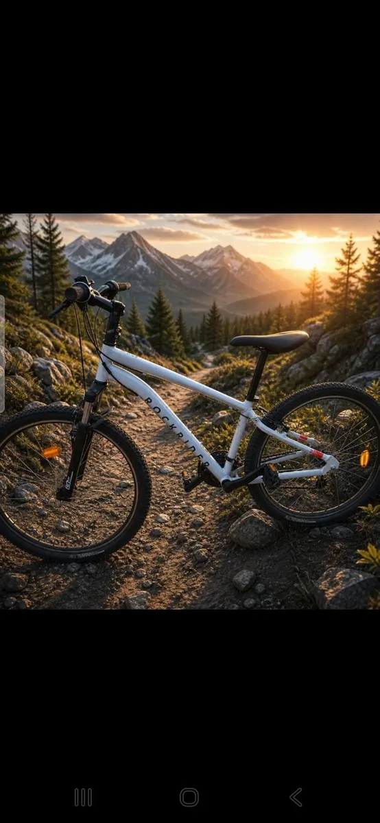 Medium bike free delivery - Image 1