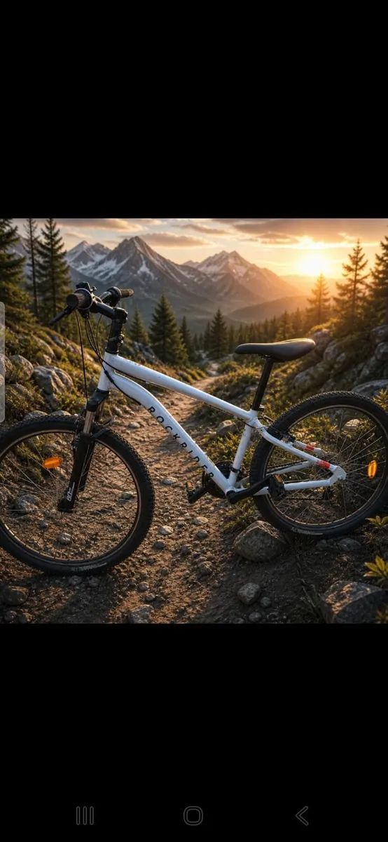 Medium bike free delivery - Image 3