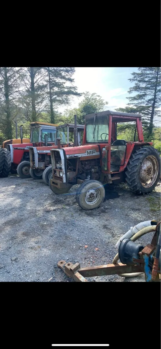Massey Ferguson 565 - Image 2