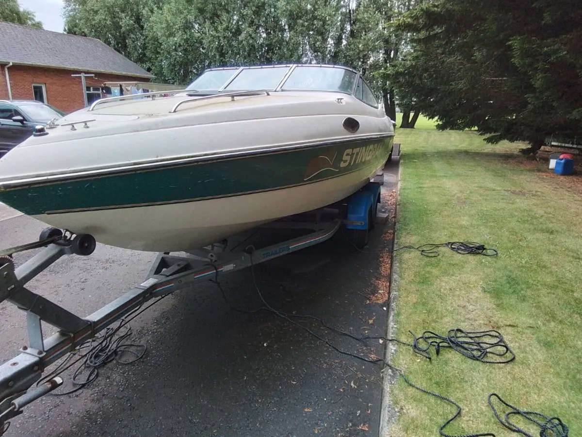 Stingray 200CS - Image 2