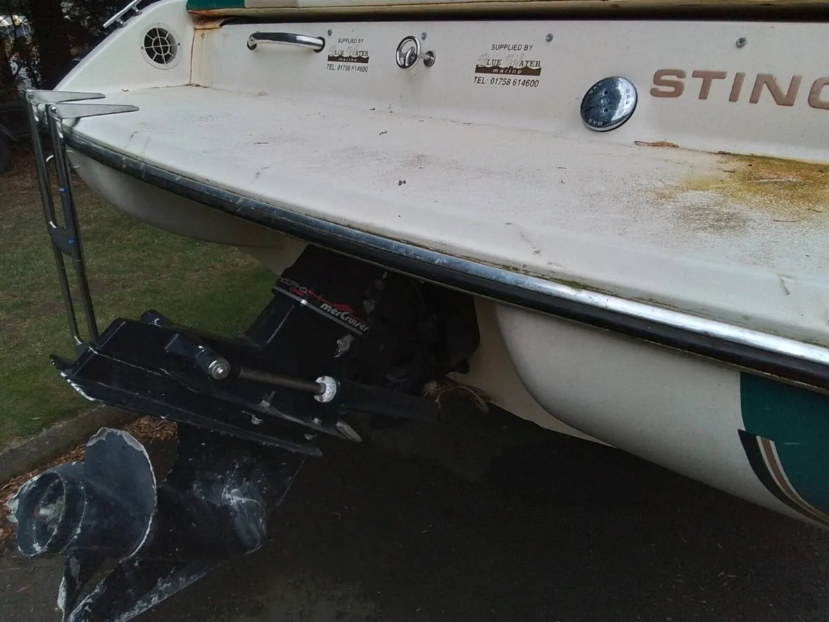 Stingray 200CS - Image 3