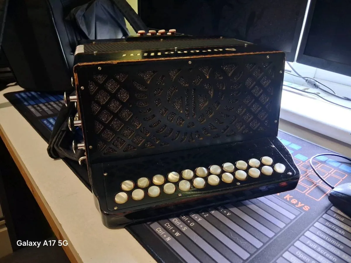 2 Accordions - Image 4