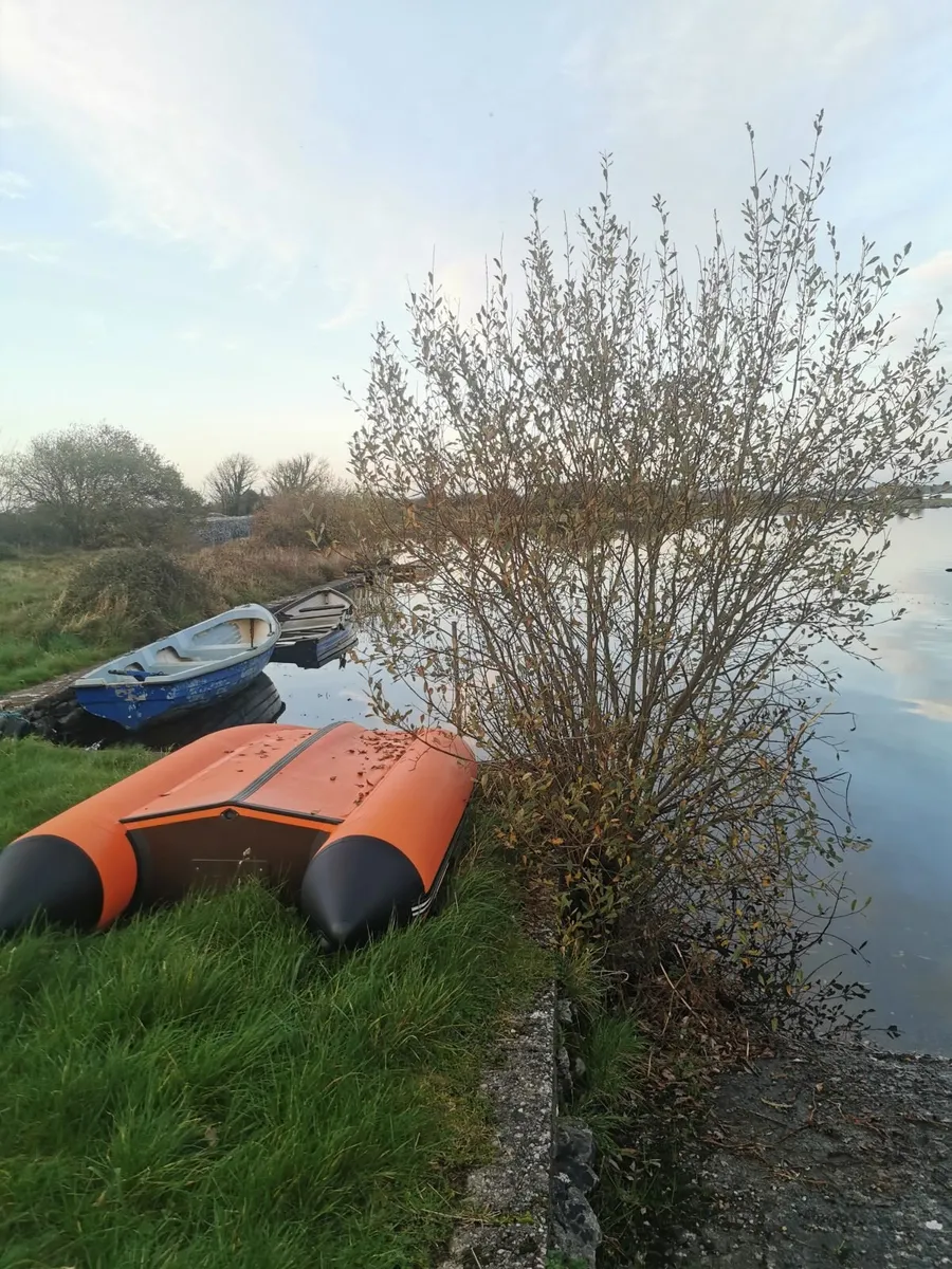 3.2m Admiral dinghy with hard floor - Image 3