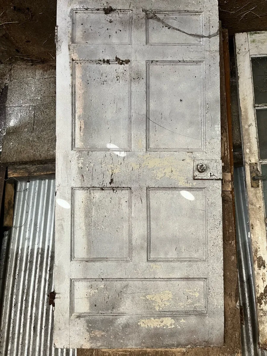 Old doors - Image 3