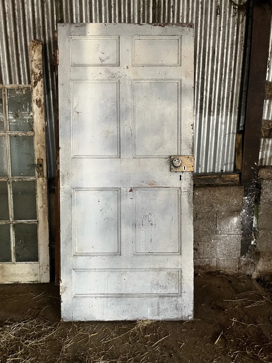 Old doors - Image 2