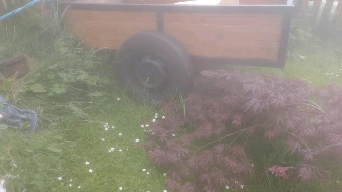 Car trailer - Image 3
