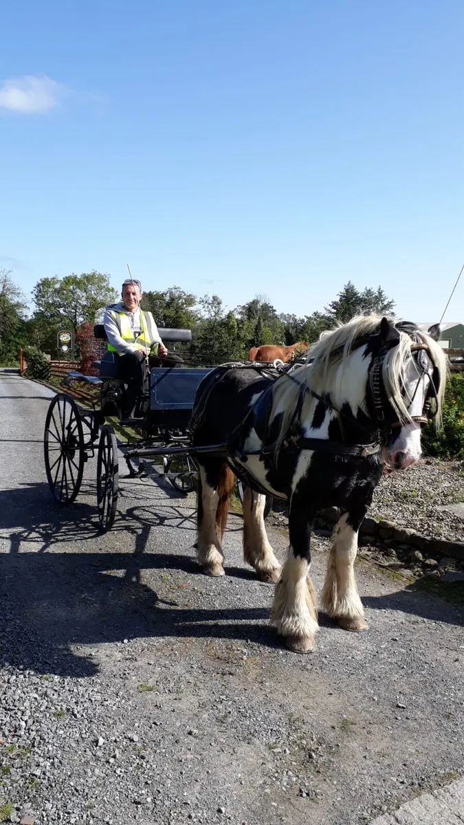 Horse carriage - Image 1