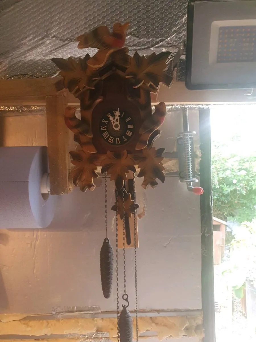 Black forest cuckoo clock - Image 1