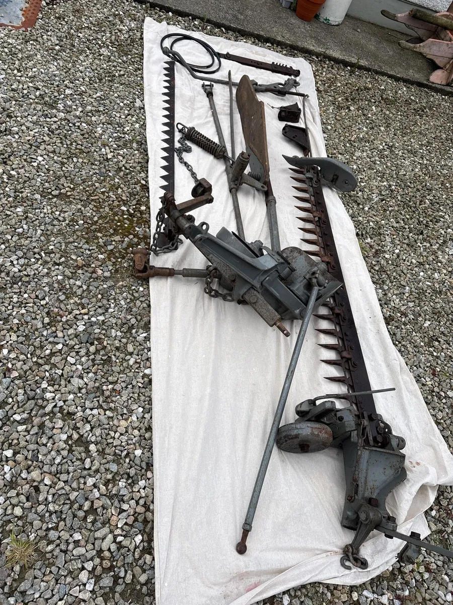 Massey Ferguson Finger mower - Image 1